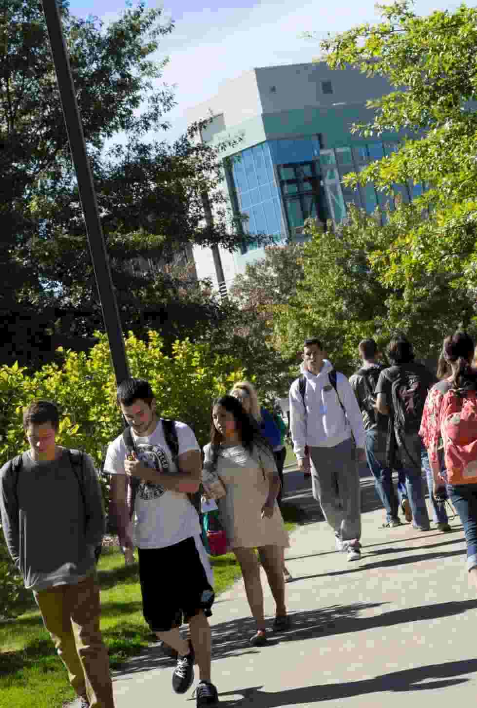 students near library